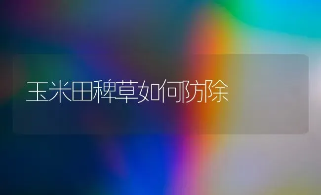 玉米田稗草如何防除 | 粮油作物种植