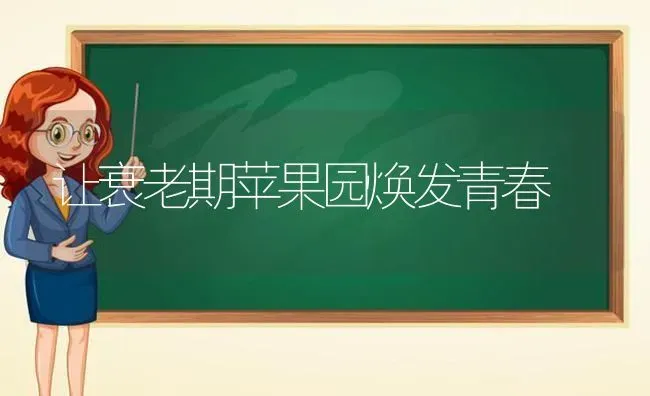 让衰老期苹果园焕发青春 | 瓜果种植