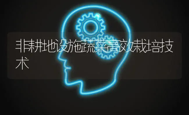 非耕地设施蔬菜高效栽培技术 | 蔬菜种植