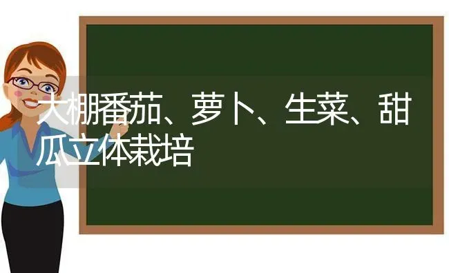 大棚番茄、萝卜、生菜、甜瓜立体栽培 | 瓜果种植