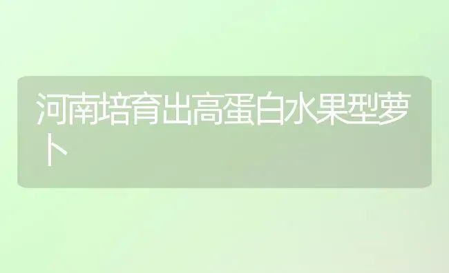 河南培育出高蛋白水果型萝卜 | 瓜果种植