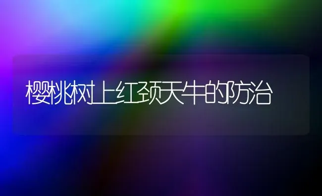 樱桃树上红颈天牛的防治 | 瓜果种植