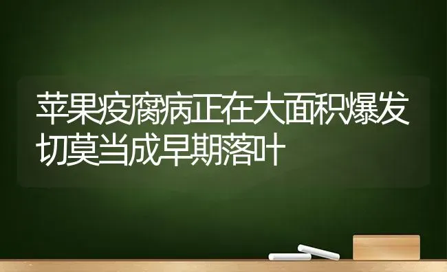 苹果疫腐病正在大面积爆发切莫当成早期落叶 | 瓜果种植