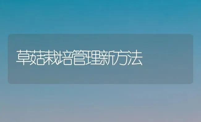 草菇栽培管理新方法 | 食用菌种植