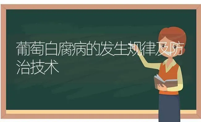 葡萄白腐病的发生规律及防治技术 | 瓜果种植