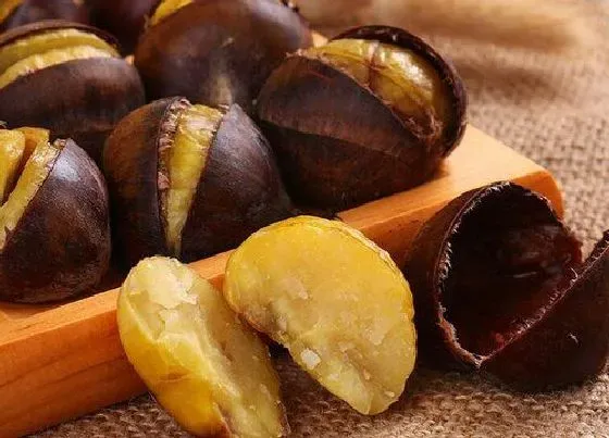 水果科普|煮板栗要多长时间能熟 板栗怎么煮好吃又好剥皮