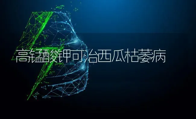 高锰酸钾可治西瓜枯萎病 | 瓜果种植