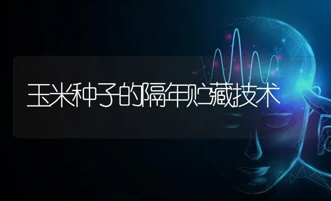 玉米种子的隔年贮藏技术 | 粮油作物种植