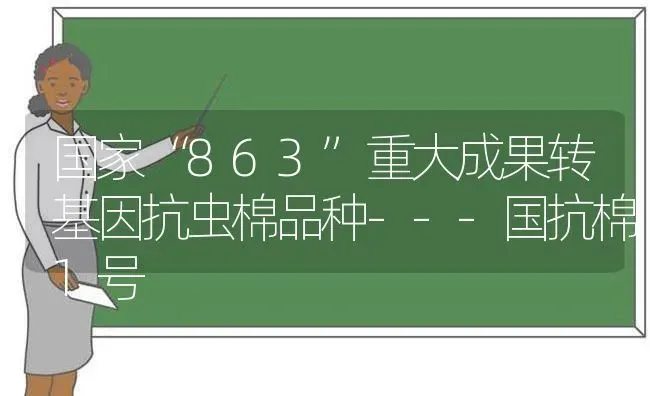 国家“863”重大成果转基因抗虫棉品种---国抗棉1号 | 瓜果种植