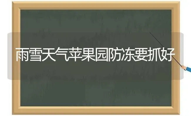 雨雪天气苹果园防冻要抓好 | 瓜果种植