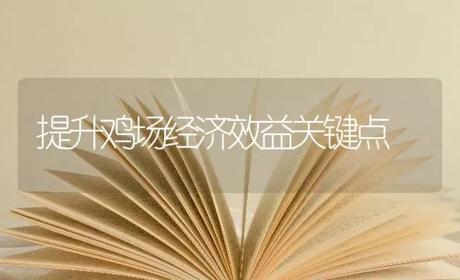 七、八月份香蕉施肥技术 | 种植肥料施肥