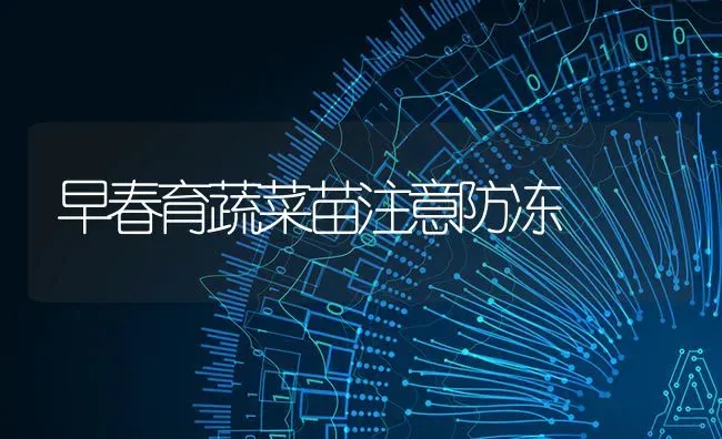 早春育蔬菜苗注意防冻 | 蔬菜种植