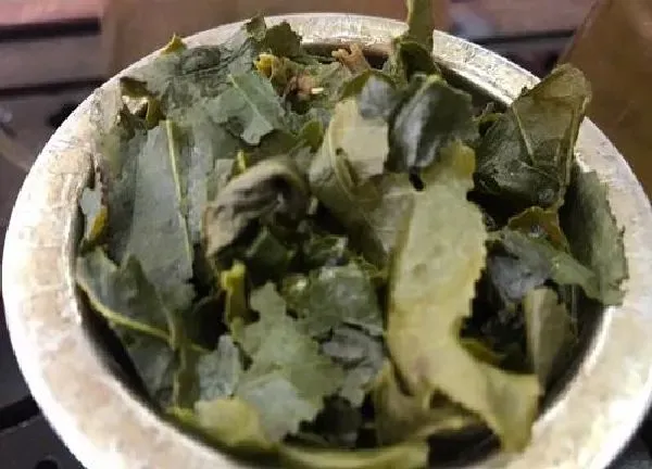 养殖科普|茶叶渣适合养什么花卉植物