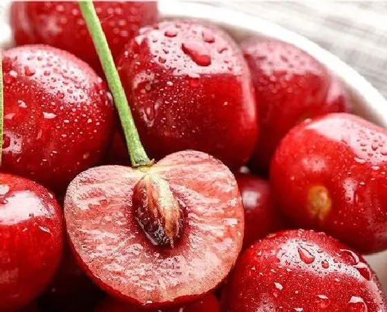 食用技巧|樱桃怎么洗才干净 正确的清洗方法