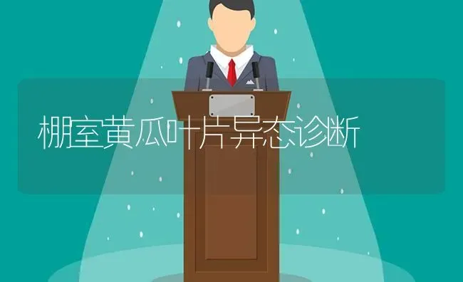 棚室黄瓜叶片异态诊断 | 蔬菜种植