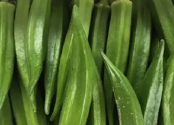 食用科普|秋葵是热性还是凉性