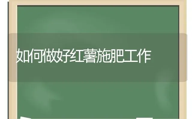 如何做好红薯施肥工作 | 种植肥料施肥