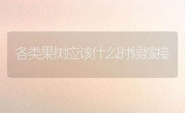 各类果树应该什么时候嫁接 | 瓜果种植