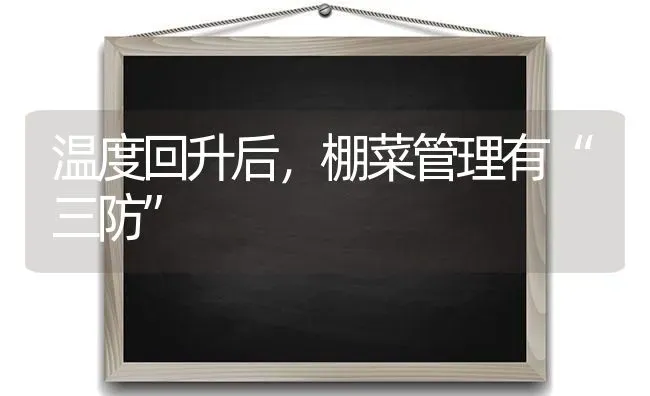 温度回升后，棚菜管理有“三防” | 蔬菜种植