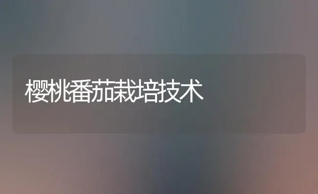 樱桃番茄栽培技术 | 瓜果种植