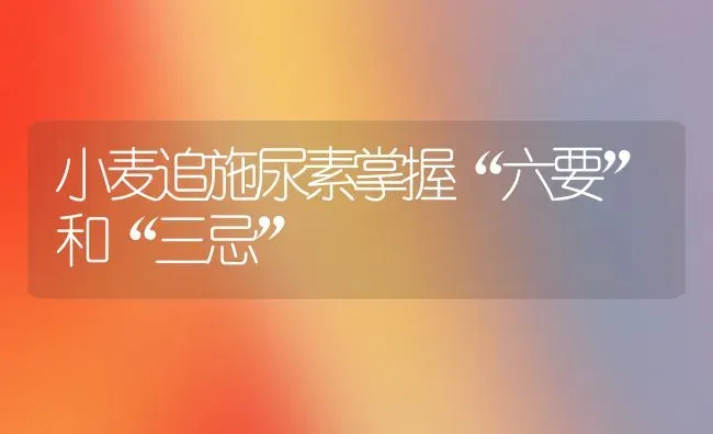 小麦追施尿素掌握“六要”和“三忌” | 粮油作物种植