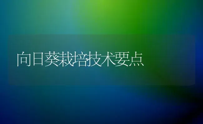 向日葵栽培技术要点 | 粮油作物种植