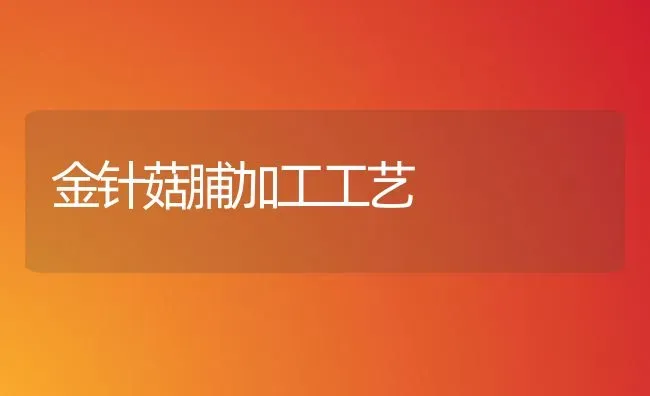 金针菇脯加工工艺 | 食用菌种植