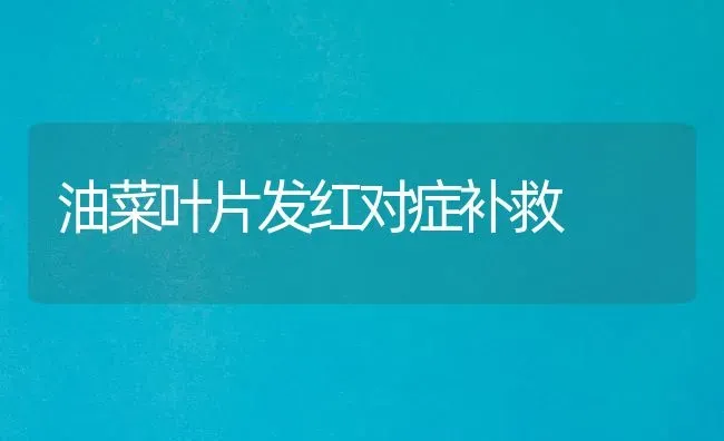 油菜叶片发红对症补救 | 粮油作物种植