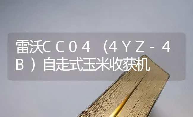 雷沃CC04（4YZ-4B）自走式玉米收获机 | 粮油作物种植