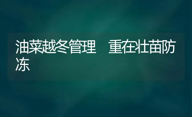 油菜越冬管理 重在壮苗防冻 | 粮油作物种植