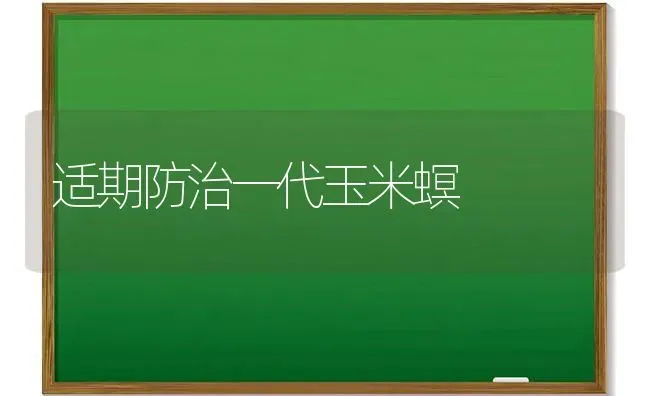 适期防治一代玉米螟 | 粮油作物种植