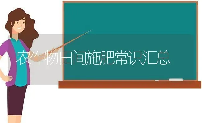 农作物田间施肥常识汇总 | 种植肥料施肥