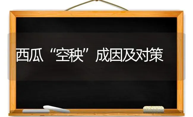 西瓜“空秧”成因及对策 | 瓜果种植