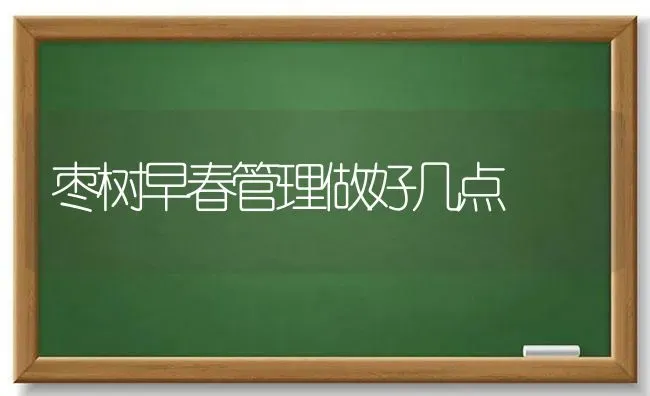 枣树早春管理做好几点 | 瓜果种植