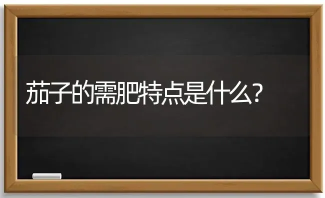茄子的需肥特点是什么？ | 蔬菜种植