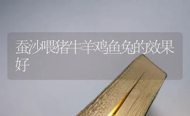 蚕沙喂猪牛羊鸡鱼兔的效果好 | 瓜果种植