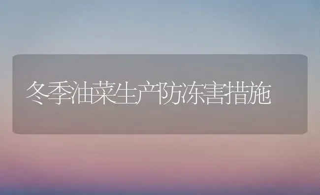 冬季油菜生产防冻害措施 | 粮油作物种植