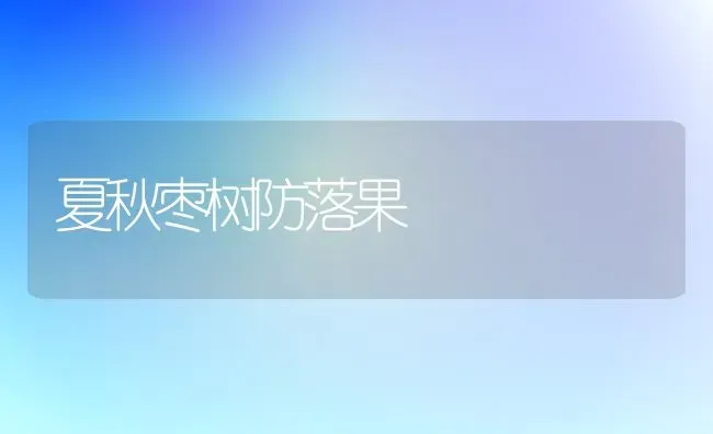 夏秋枣树防落果 | 瓜果种植