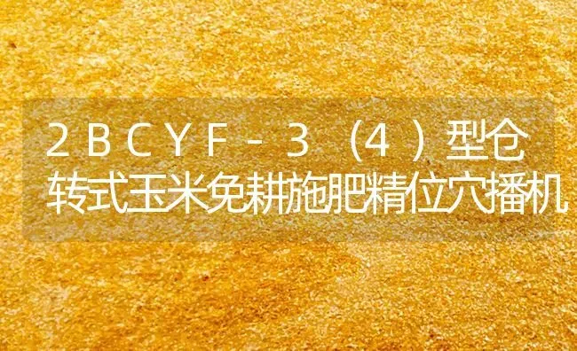 2BCYF-3（4）型仓转式玉米免耕施肥精位穴播机 | 种植肥料施肥