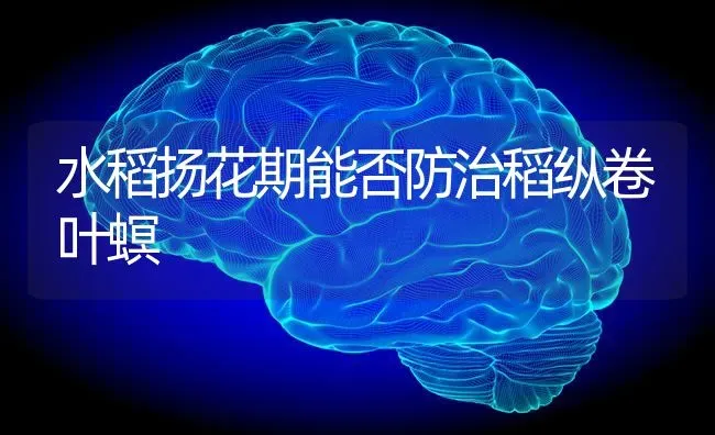 水稻扬花期能否防治稻纵卷叶螟 | 粮油作物种植