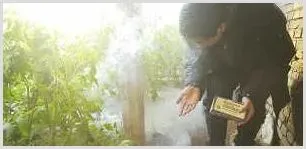 怎样使用烟剂防治温室病虫害 | 农业技术