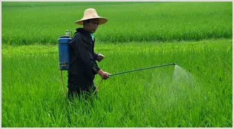 怎么提高肥料的利用率的六大技巧分享 | 种植病虫害