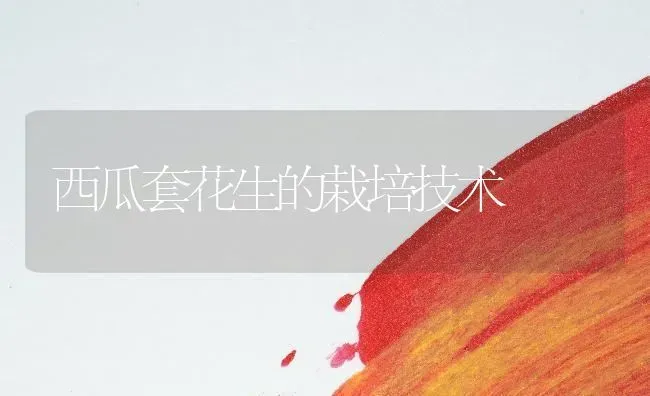 西瓜套花生的栽培技术 | 瓜果种植