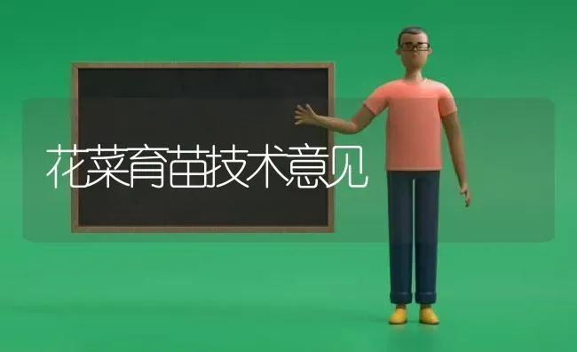 花菜育苗技术意见 | 蔬菜种植