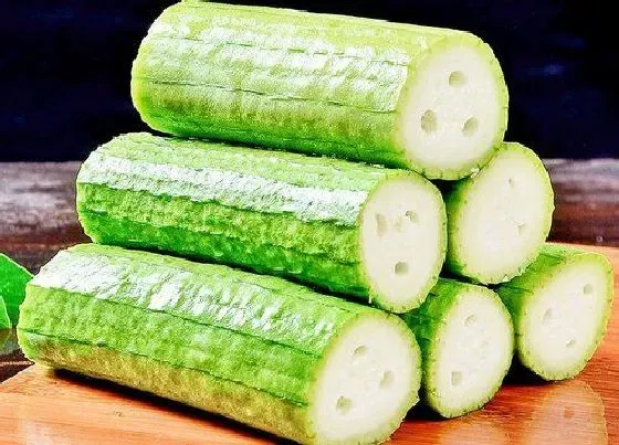 食用科普|丝瓜能放冰箱吗