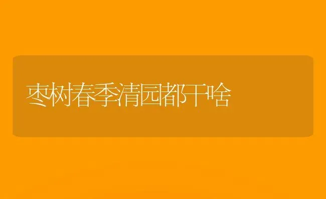 枣树春季清园都干啥 | 瓜果种植