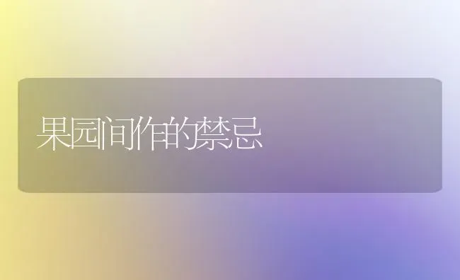 果园间作的禁忌 | 瓜果种植