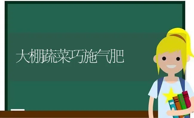 大棚蔬菜巧施气肥 | 蔬菜种植