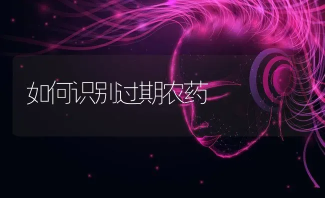 如何识别过期农药 | 种植病虫害防治