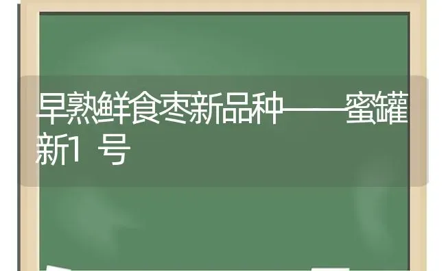 早熟鲜食枣新品种——蜜罐新1号 | 瓜果种植